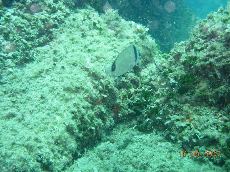DSCN5741